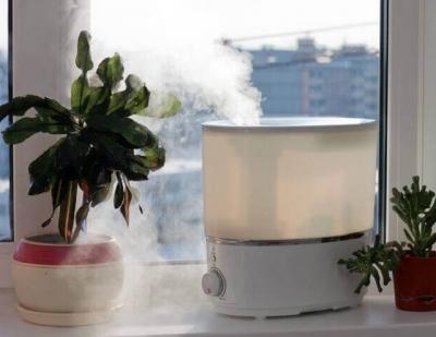 Какая должна быть влажность в квартире Какая должна быть влажность в квартире