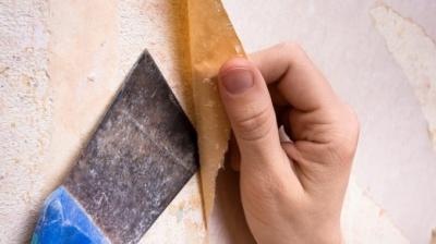 Подготовка стен под покраску: порядок действий, пошаговая инструкция, советы