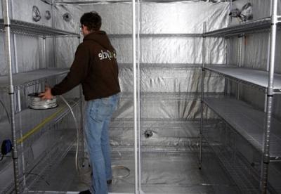 Выращивание грибов в домашних условиях: главные особенности и инструкция для новичков Выращивание грибов в домашних условиях: главные особенности и инструкция для новичков