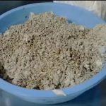 Выращивание грибов в домашних условиях: главные особенности и инструкция для новичков Выращивание грибов в домашних условиях: главные особенности и инструкция для новичков