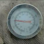 Выращивание грибов в домашних условиях: главные особенности и инструкция для новичков Выращивание грибов в домашних условиях: главные особенности и инструкция для новичков