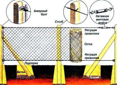 Живая изгородь на даче своими руками: какие растения лучше выбрать, пошаговый процесс монтажа Живая изгородь на даче своими руками: какие растения лучше выбрать, пошаговый процесс монтажа