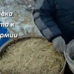 Выращивание грибов в домашних условиях: главные особенности и инструкция для новичков Выращивание грибов в домашних условиях: главные особенности и инструкция для новичков