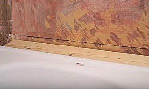 Как заделать стык между ванной и стеной