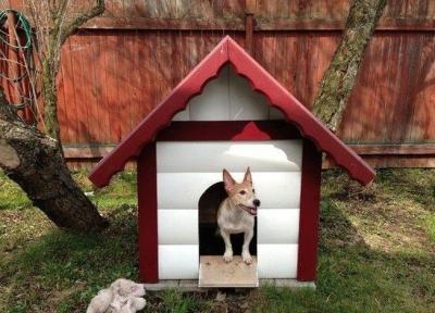 Будка для собаки своими руками: используем чертежи Будка для собаки своими руками: используем чертежи