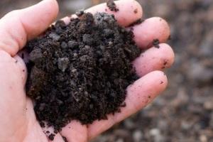 Какой фундамент выбрать для дома из бруса: типы и рекомендации, какой фундамент дома выбрать Какой фундамент выбрать для дома из бруса: типы и рекомендации, какой фундамент дома выбрать