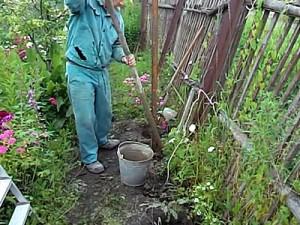 Как построить забор из профлиста своими руками: этапы подготовки и видео пример самостоятельного строительства забора из профлиста Как построить забор из профлиста своими руками: этапы подготовки и видео пример самостоятельного строительства забора из профлиста