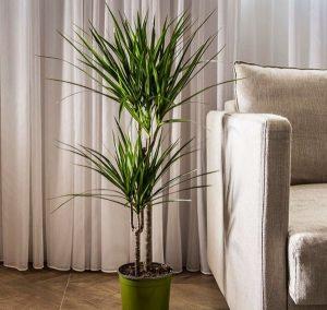 Какая должна быть влажность в квартире Какая должна быть влажность в квартире