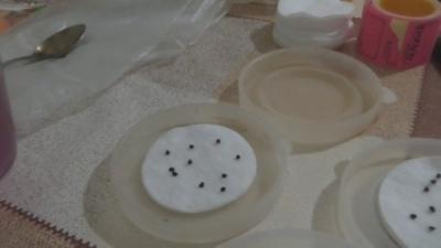 Как вырастить лук из семян за один сезон? Лучшие рекомендации и главные советы