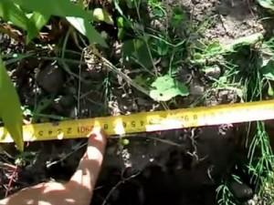 Как построить забор из профлиста своими руками: этапы подготовки и видео пример самостоятельного строительства забора из профлиста Как построить забор из профлиста своими руками: этапы подготовки и видео пример самостоятельного строительства забора из профлиста