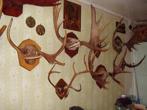 Как украсить стены квартиры (дома) Как украсить стены квартиры (дома)