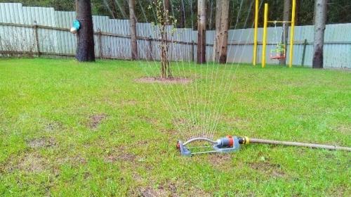 Выбираем дождеватель для полива Выбираем дождеватель для полива