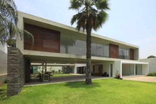 Как посадить пальму на участке Как посадить пальму на участке