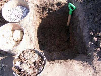 Василистник делавея — очаровательное украшение сада: выращивание и использование в дизайне