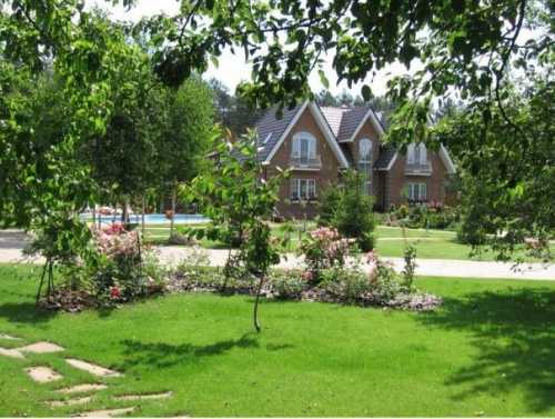 Как правильно стричь газон Как правильно стричь газон