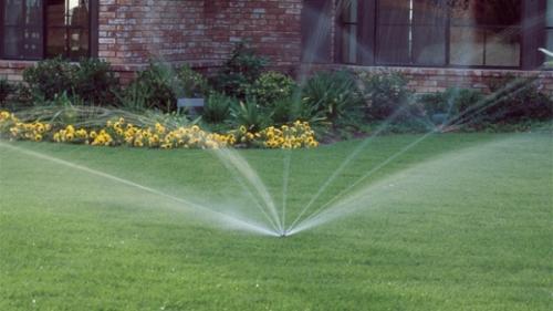 Красивый газон: основные правила ухода