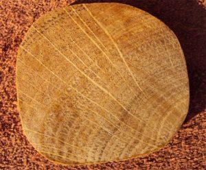 Стол для дачи своими руками: делаем деревянные столы для дачи самостоятельно, изучив пошаговые инструкции Стол для дачи своими руками: делаем деревянные столы для дачи самостоятельно, изучив пошаговые инструкции