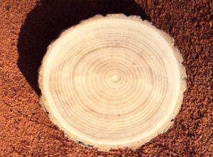 Стол для дачи своими руками: делаем деревянные столы для дачи самостоятельно, изучив пошаговые инструкции Стол для дачи своими руками: делаем деревянные столы для дачи самостоятельно, изучив пошаговые инструкции