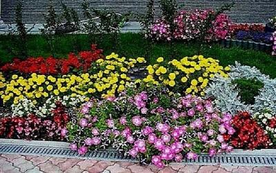 Клумба своими руками: делаем клумбу из подручных материалов на даче Клумба своими руками: делаем клумбу из подручных материалов на даче