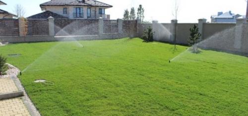 Красивый газон: основные правила ухода