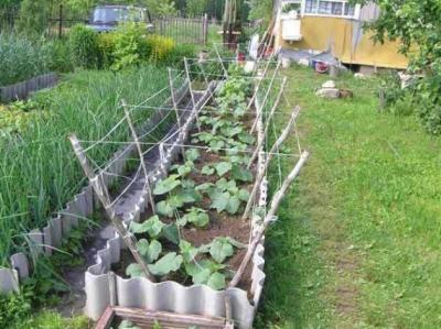 Высокие грядки своими руками: пошагово делаем грядки из досок на даче