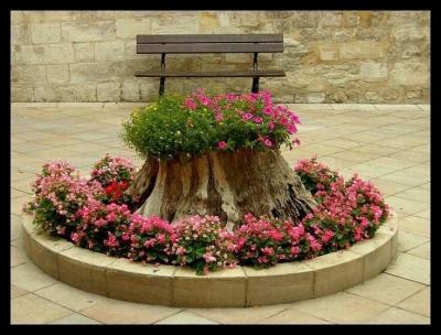 Цветники на даче своими руками: оригинальные идеи по оформлению красивых цветников для начинающих