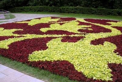 Клумба своими руками: делаем клумбу из подручных материалов на даче Клумба своими руками: делаем клумбу из подручных материалов на даче