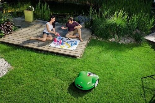 Красивый газон: основные правила ухода