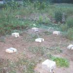 Фундамент для беседки своими руками: делаем фундамент под беседку правильно