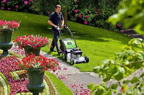 Красивый газон: основные правила ухода