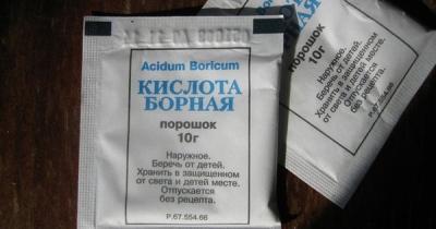 Обработка сада после цветения: чем опрыскивать растения для защиты от вредителей и болезней? Обработка сада после цветения: чем опрыскивать растения для защиты от вредителей и болезней?