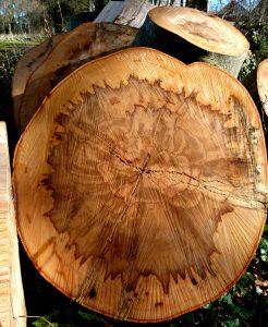 Стол для дачи своими руками: делаем деревянные столы для дачи самостоятельно, изучив пошаговые инструкции Стол для дачи своими руками: делаем деревянные столы для дачи самостоятельно, изучив пошаговые инструкции