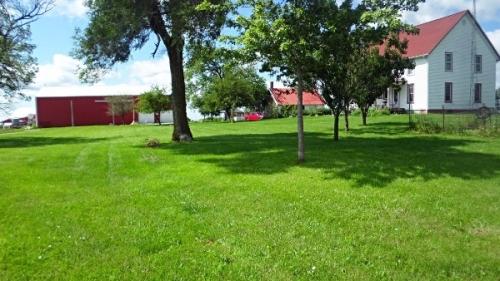 Красивый газон: основные правила ухода