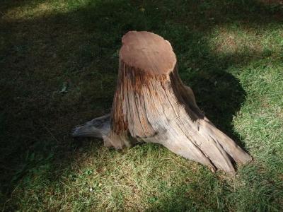 Стол для дачи своими руками: делаем деревянные столы для дачи самостоятельно, изучив пошаговые инструкции Стол для дачи своими руками: делаем деревянные столы для дачи самостоятельно, изучив пошаговые инструкции