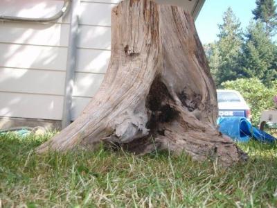 Стол для дачи своими руками: делаем деревянные столы для дачи самостоятельно, изучив пошаговые инструкции Стол для дачи своими руками: делаем деревянные столы для дачи самостоятельно, изучив пошаговые инструкции