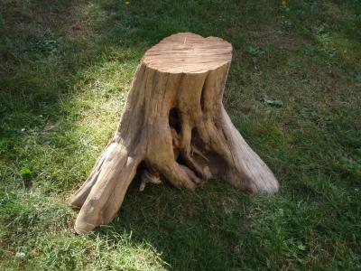 Стол для дачи своими руками: делаем деревянные столы для дачи самостоятельно, изучив пошаговые инструкции Стол для дачи своими руками: делаем деревянные столы для дачи самостоятельно, изучив пошаговые инструкции