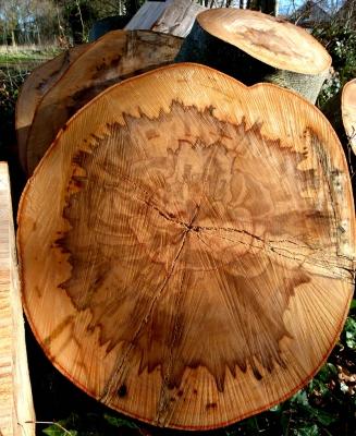 Стол для дачи своими руками: делаем деревянные столы для дачи самостоятельно, изучив пошаговые инструкции Стол для дачи своими руками: делаем деревянные столы для дачи самостоятельно, изучив пошаговые инструкции