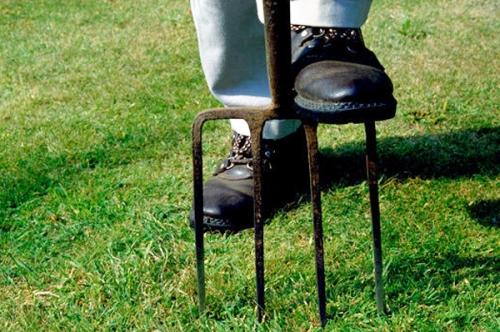 Красивый газон: основные правила ухода