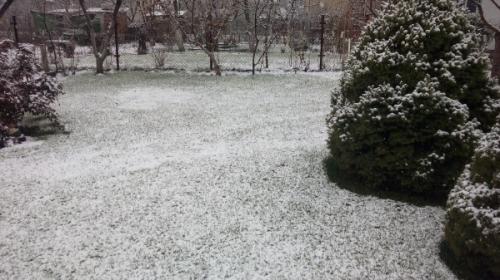 Красивый газон: основные правила ухода