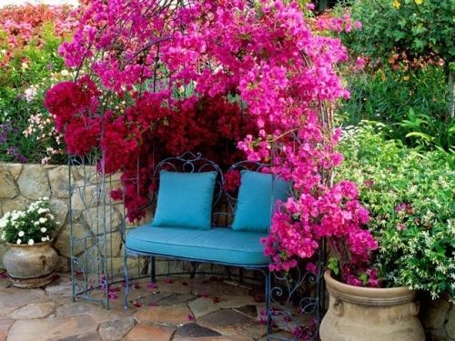 Уютный розарий возле дома