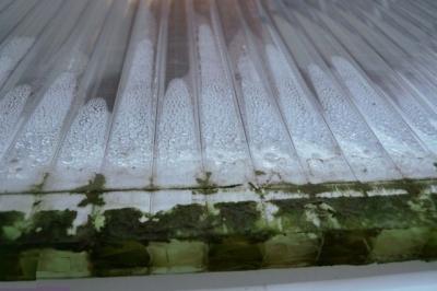 Какой поликарбонат выбрать для навеса: выбираем по параметрам тип поликарбоната для навеса