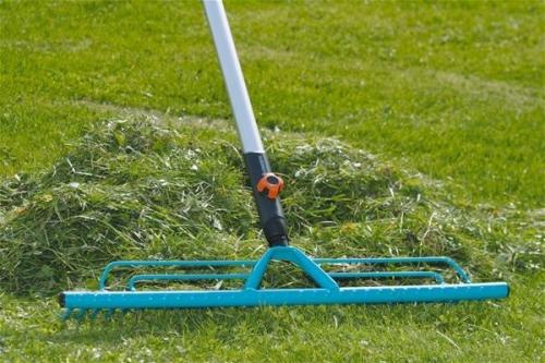 Красивый газон: основные правила ухода