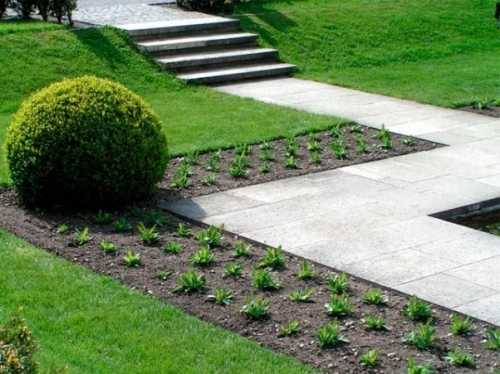 Как правильно стричь газон Как правильно стричь газон