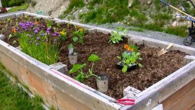 Высокие грядки своими руками: пошагово делаем грядки из досок на даче