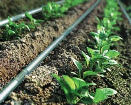 Как сделать систему полива своими руками