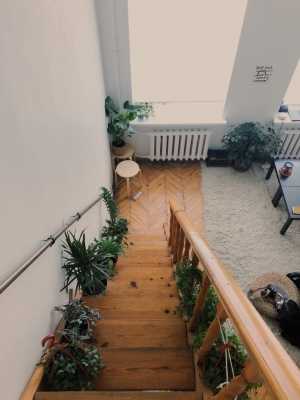 Деревянная лестница в дом – особенности, разновидности и преимущества