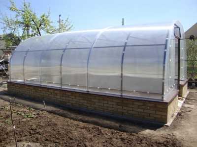 Теплица своими руками: как сделать, проекты и виды