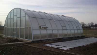 Теплица своими руками: как сделать, проекты и виды