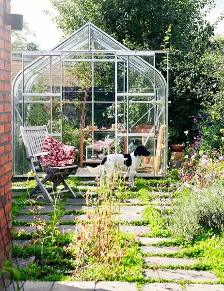 Красивые и эффективные теплицы на участке
Красивые и эффективные теплицы на участке