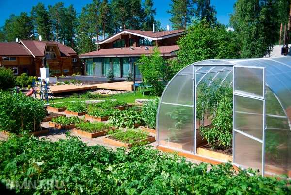 Красивые и эффективные теплицы на участке
Красивые и эффективные теплицы на участке